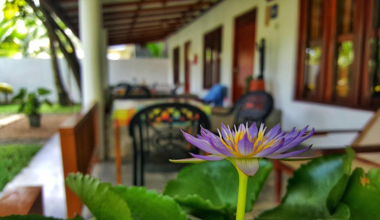 Luvi Lucas River Side Weligama Eksteriør billede